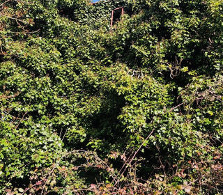  Maison � vendre 3 pi�ces 150 m�