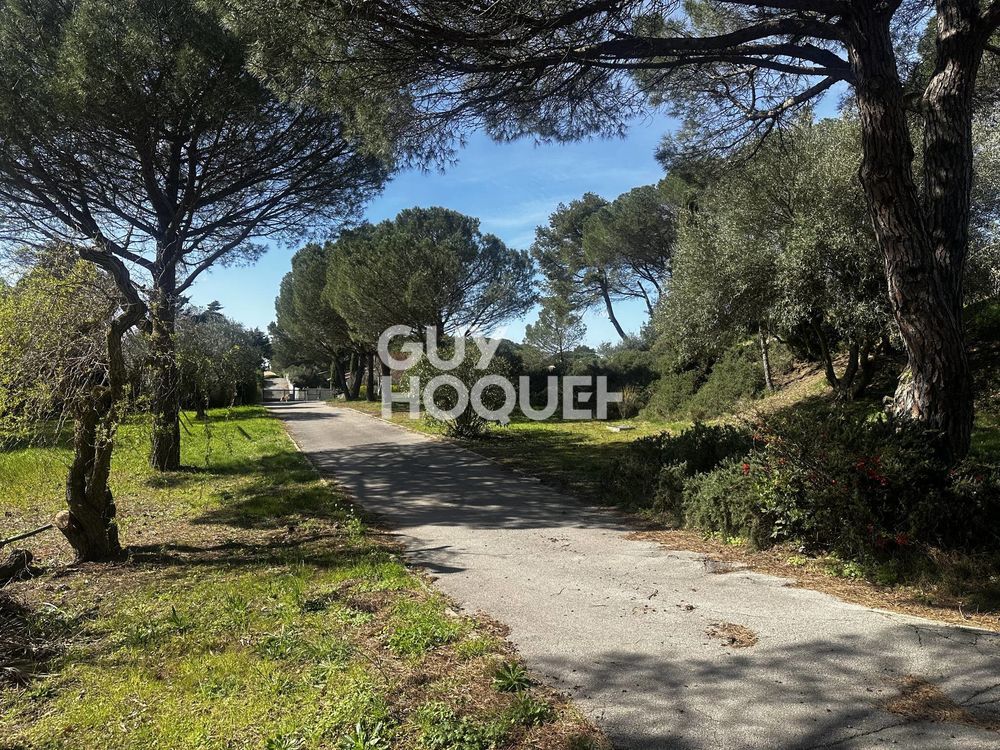 � vendre  Maison Villedubert (11800)