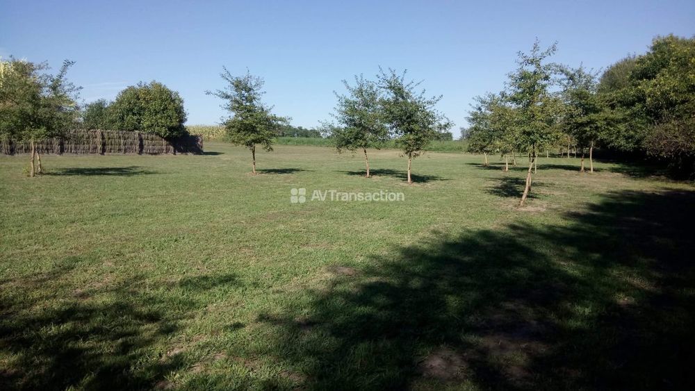 � vendre  Villa Meilhan (40400)