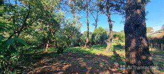  Terrain � vendre 985 m�