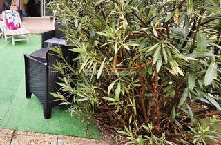  Appartement � vendre 30 m�