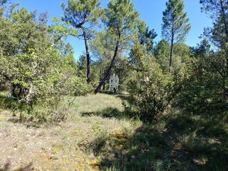  Terrain � vendre 31060 m�