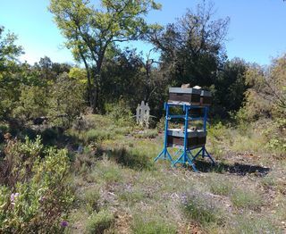  Terrain � vendre 31060 m�