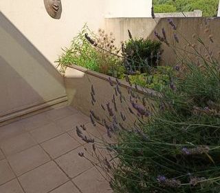  Appartement � vendre 