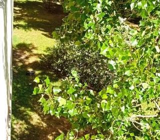  Appartement � vendre 1 pi�ce 9 m�