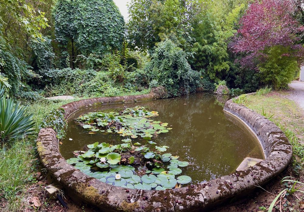 � vendre  Propri�t�/ch�teau Villemoustaussou (11620)