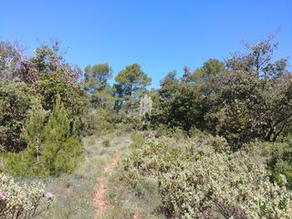  Terrain � vendre 31060 m�