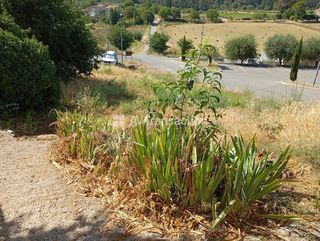  Appartement � louer 1 pi�ce 