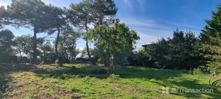  Terrain � vendre 985 m�