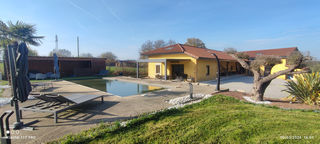  Propri�t�/ch�teau � vendre 7 pi�ces 300 m�