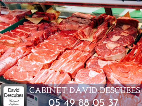 BOUCHERIE COMMERCE DE DETAIL DE PRODUITS A BASE DE VIANDE TRAITEUR 252080 17000 La rochelle