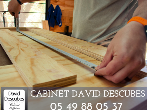 POSE DE MENUISERIE BOIS, ALU, PVC   PLACOPLATRE   BARDAGE ET ISOLATION EXTERIEURE   RENOVATION IMMOBILIERE 767200 86000 Poitiers