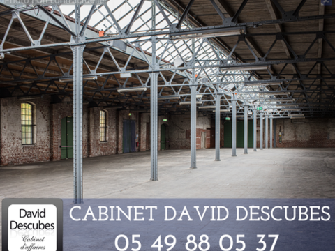 A LOUER ENSEMBLE DE LOCAUX D'ACTIVITE DE 2 900M2. 18125 86000 Poitiers