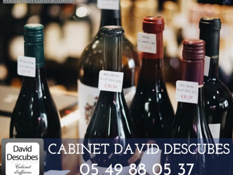 44. LOIRE ATLANTIQUE : CAVE A VINS ET SPIRITUEUX EPICERIE FINE A VENDRE. EMPLACEMENT No1 197280 44000 Nantes