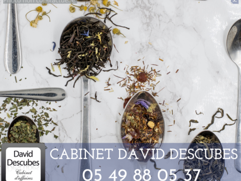 &Agrave; VENDRE   SALON DE TH&Eacute; & ACCESSOIRES 100800 86000 Poitiers