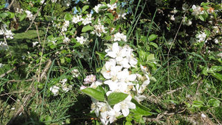  Terrain � vendre 1028 m�