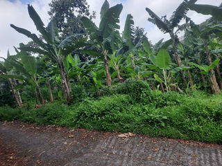  Terrain � vendre 1197 m�