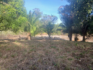  Terrain � vendre 10004 m�