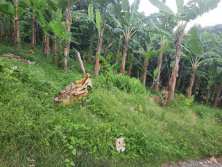  Terrain � vendre 1197 m�