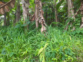  Terrain � vendre 1197 m�