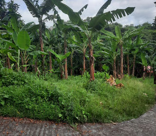  Terrain � vendre 1197 m�