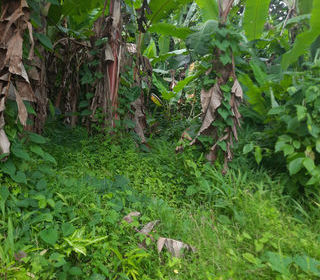  Terrain � vendre 1197 m�