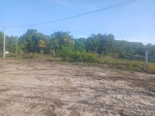  Terrain � vendre 10004 m�