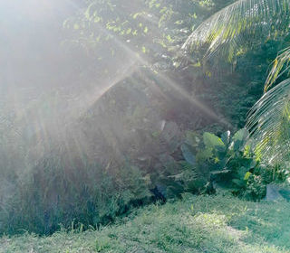  Terrain � vendre 1266 m�