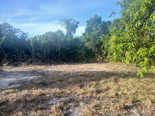  Terrain � vendre 10004 m�