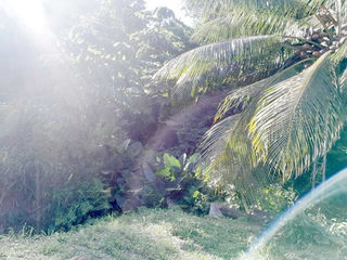  Terrain � vendre 1266 m�