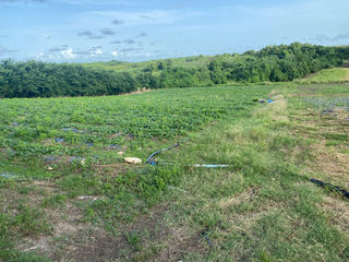  Terrain � vendre 2000 m�