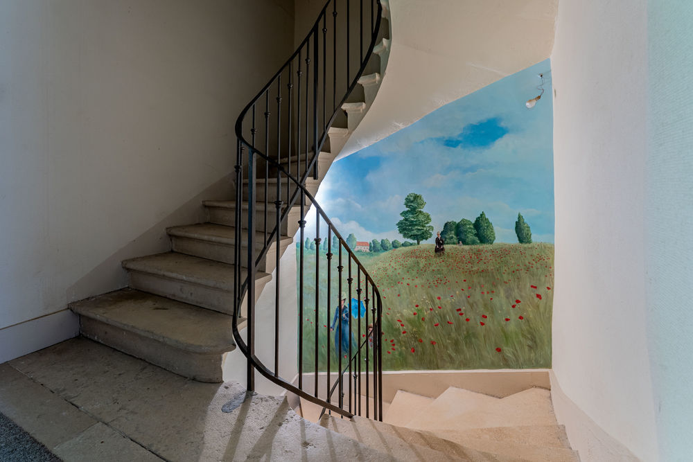 � vendre  Propri�t�/ch�teau Cublize (69550)