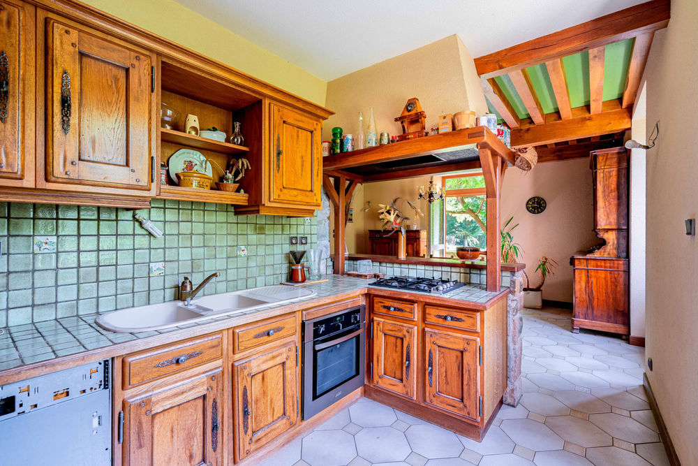 � vendre  Propri�t�/ch�teau Cublize (69550)