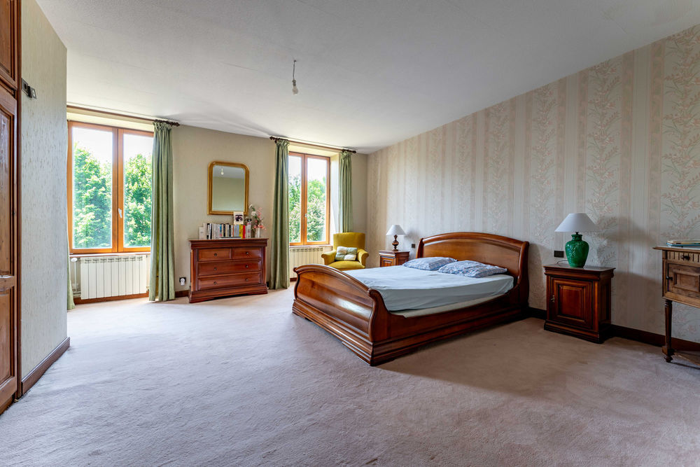 � vendre  Propri�t�/ch�teau Cublize (69550)