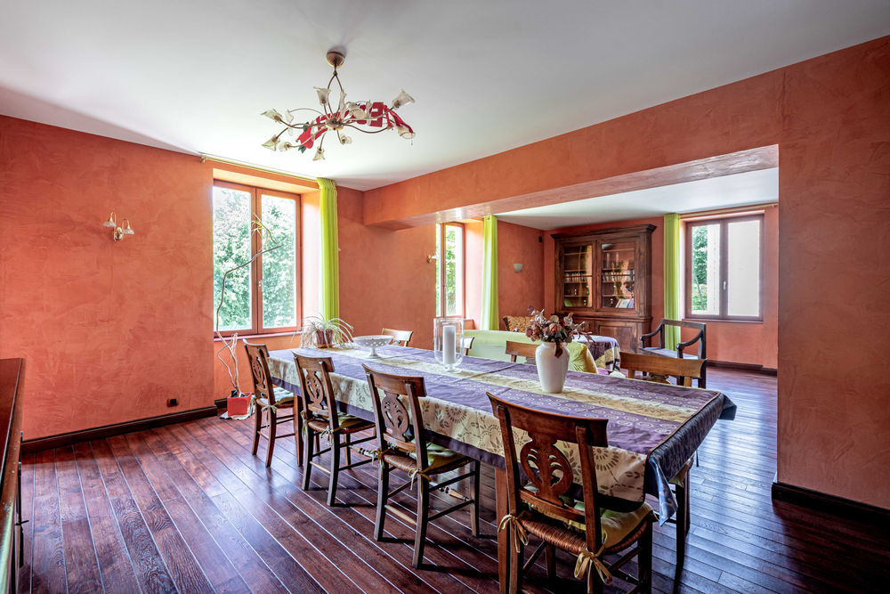 � vendre  Propri�t�/ch�teau Cublize (69550)