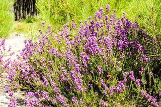  Maison � vendre 4 pi�ces 125 m�