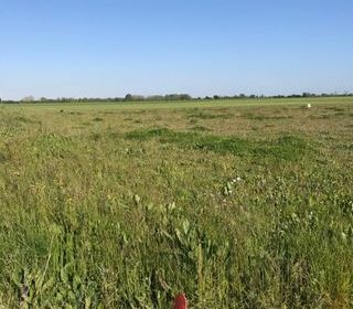  Terrain � vendre 390 m�