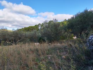  Terrain � vendre 1005 m�