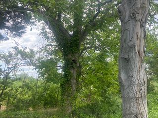  Terrain � vendre 685 m�