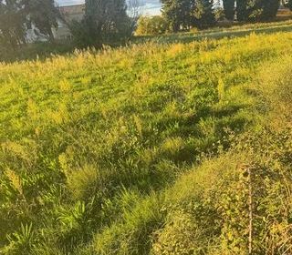  Maison � vendre 2 pi�ces 50 m�