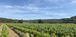  Terrain � vendre 1727 m�