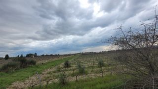  Terrain � vendre 856 m�