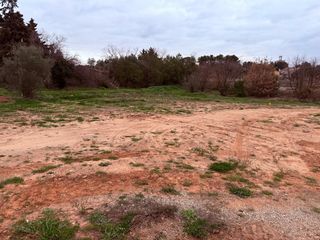  Terrain � vendre 501 m�