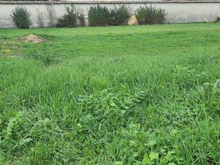  Terrain 340 m� Bron