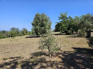  Terrain � vendre 416 m�