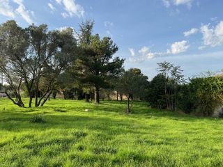  Terrain � vendre 302 m�