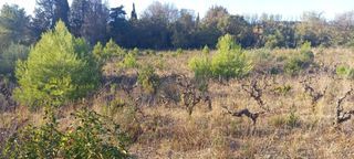  Maison � vendre 5 pi�ces 138 m�