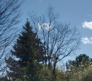  Terrain � vendre 340 m�