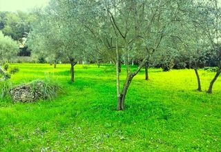  Maison 6 pi�ces 115 m� Draguignan