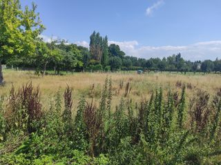  Maison � vendre 4 pi�ces 141 m�